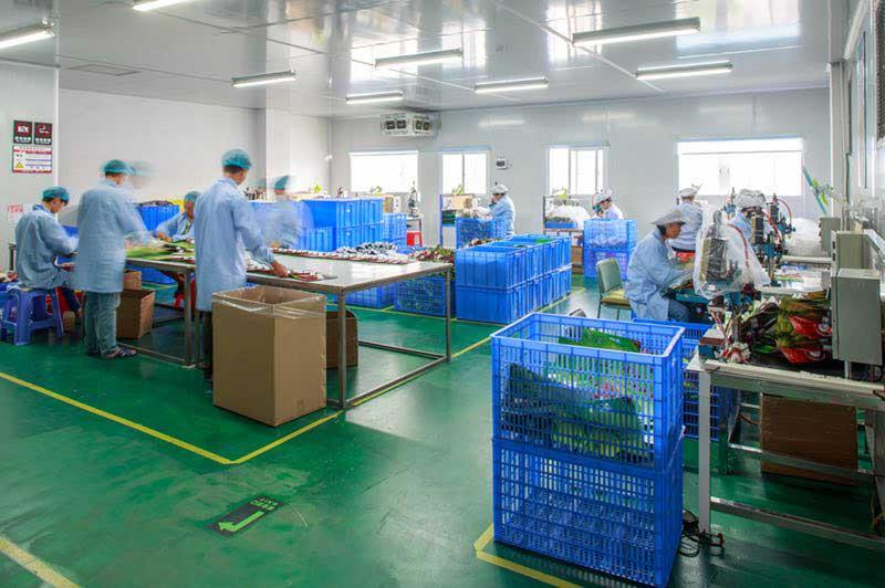 HUACANG Packaging quality control workshop and inspection process